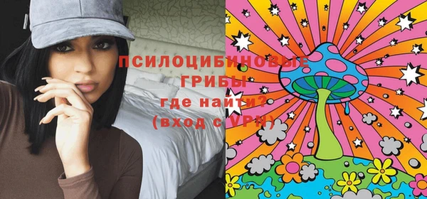 сатива Арсеньев