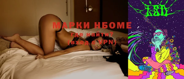 сатива Арсеньев